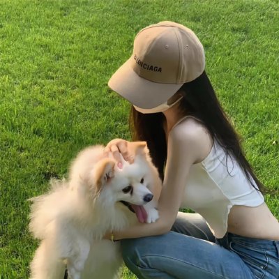 公司业务
